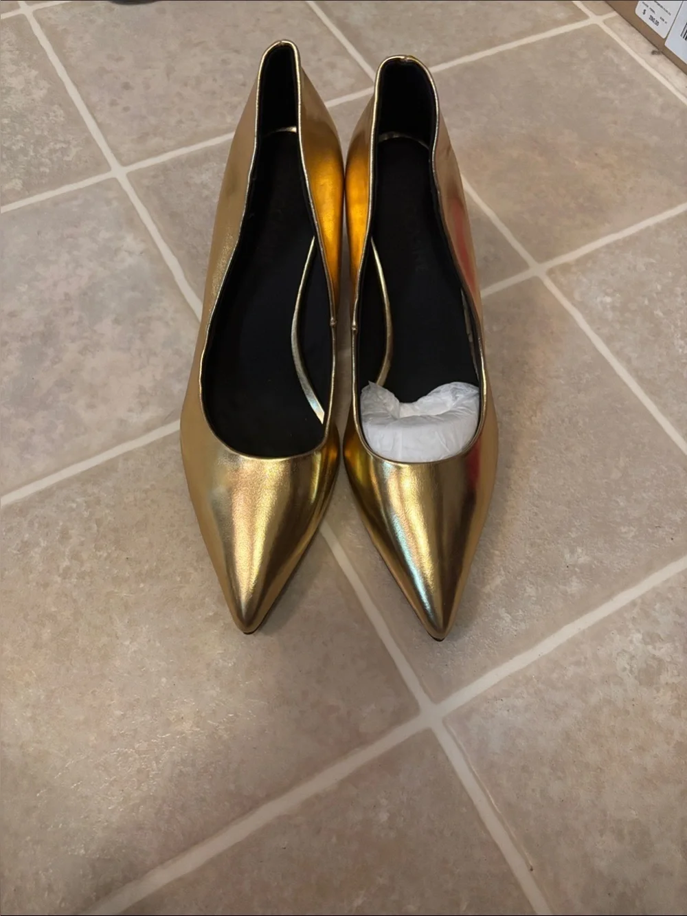 VACCASHE Gold Pointed-Toe Kitten Heel